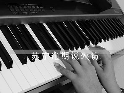 苏宁逾期说外访 苏宁逾期说外访