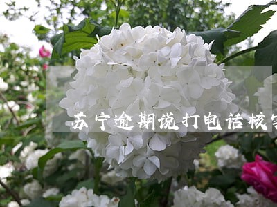 苏宁逾期说打电话核实 苏宁逾期说打电话核实