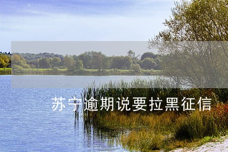 苏宁逾期说要拉黑征信 苏宁逾期说要拉黑征信