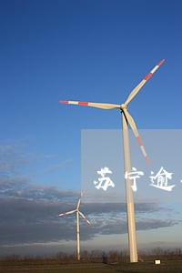 苏宁逾期说要排期开庭 苏宁逾期说要排期开庭