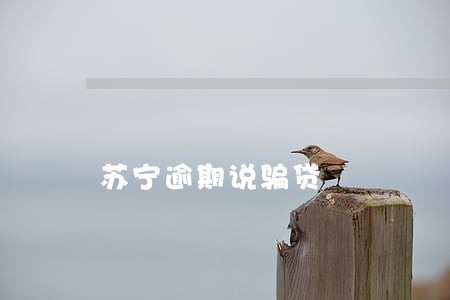 苏宁逾期说骗贷 苏宁逾期说骗贷