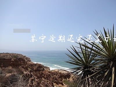 苏宁逾期还完还显示未还款 苏宁逾期还完还显示未还款