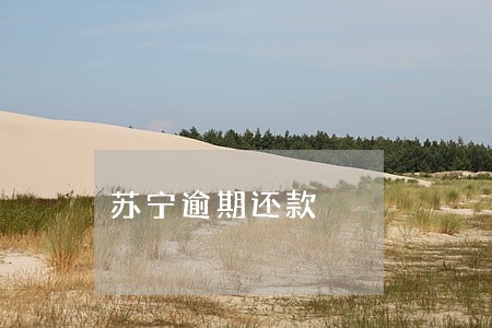 苏宁逾期还款 苏宁逾期还款