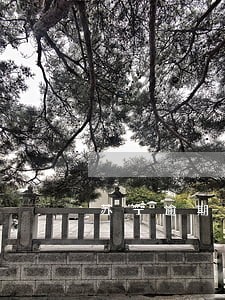 苏宁逾期还款为什么涨额度了 苏宁逾期还款为什么涨额度了