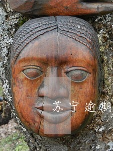 苏宁逾期还款本金 苏宁逾期还款本金