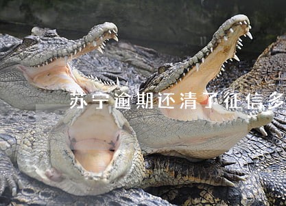 苏宁逾期还清了征信多久恢复 苏宁逾期还清了征信多久恢复