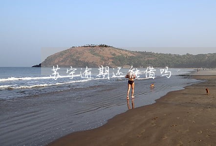 苏宁逾期还能借吗 苏宁逾期还能借吗