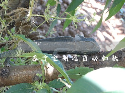 苏宁逾期还自动扣款 苏宁逾期还自动扣款