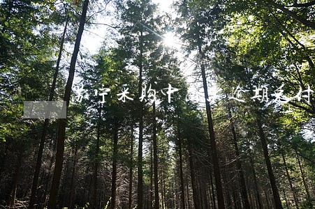 苏宁采购中商票逾期兑付 苏宁采购中商票逾期兑付