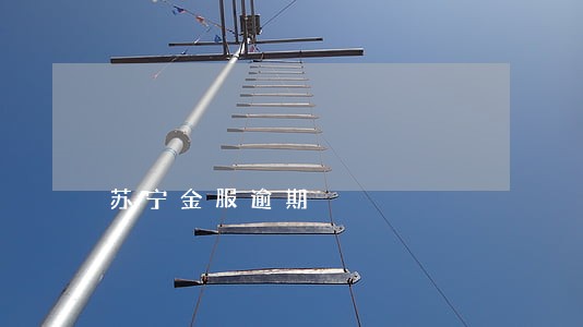 苏宁金服逾期 苏宁金服逾期