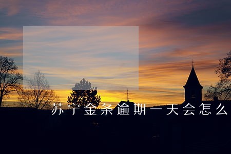 苏宁金条逾期一天会怎么样 苏宁金条逾期一天会怎么样
