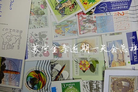 苏宁金条逾期一天会怎样 苏宁金条逾期一天会怎样