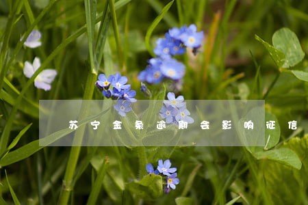 苏宁金条逾期会影响征信吗 苏宁金条逾期会影响征信吗