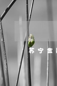 苏宁金融8000元逾期三个月