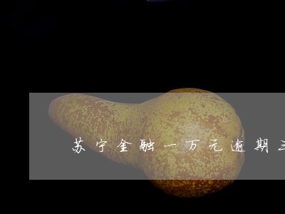 苏宁金融一万元逾期三年 苏宁金融一万元逾期三年