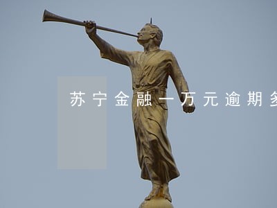 苏宁金融一万元逾期多久上征信 苏宁金融一万元逾期多久上征信