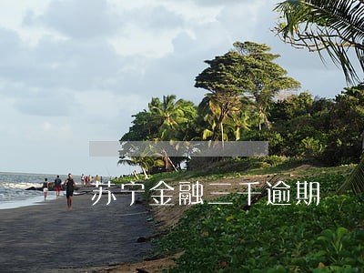 苏宁金融三千逾期 苏宁金融三千逾期