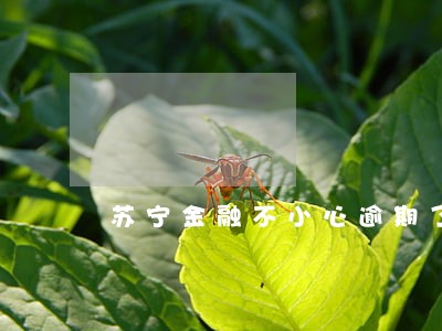 苏宁金融不小心逾期了三天 苏宁金融不小心逾期了三天