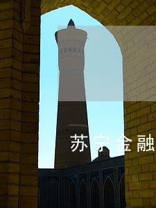 苏宁金融任性付怎么消除逾期 苏宁金融任性付怎么消除逾期
