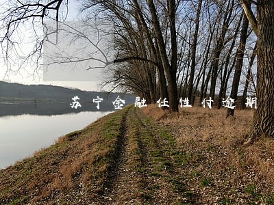 苏宁金融任性付逾期 苏宁金融任性付逾期