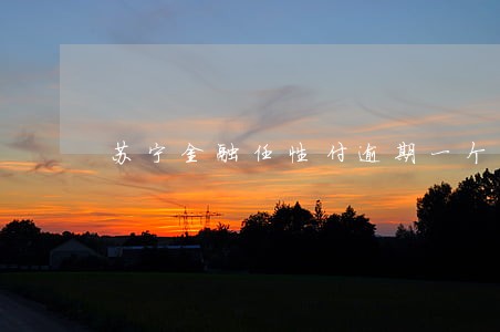 苏宁金融任性付逾期一个月上征信 苏宁金融任性付逾期一个月上征信