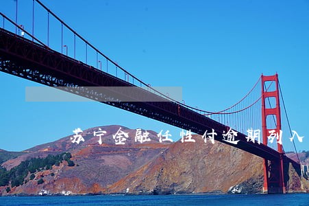 苏宁金融任性付逾期列入失信人 苏宁金融任性付逾期列入失信人
