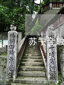 苏宁金融任性贷2万逾期 苏宁金融任性贷2万逾期