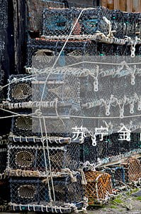 苏宁金融任性贷有多少人逾期 苏宁金融任性贷有多少人逾期