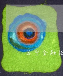 苏宁金融任性贷省薪借同时逾期 苏宁金融任性贷省薪借同时逾期