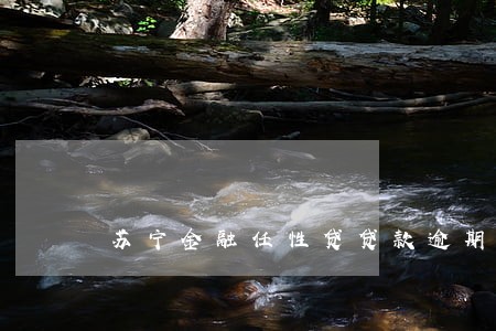 苏宁金融任性贷贷款逾期一天