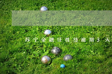 苏宁金融任性贷逾期3天 苏宁金融任性贷逾期3天