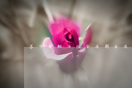 苏宁金融任性贷逾期会冻结么 苏宁金融任性贷逾期会冻结么