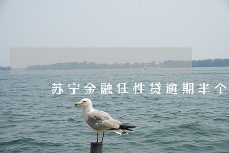 苏宁金融任性贷逾期半个月后果 苏宁金融任性贷逾期半个月后果