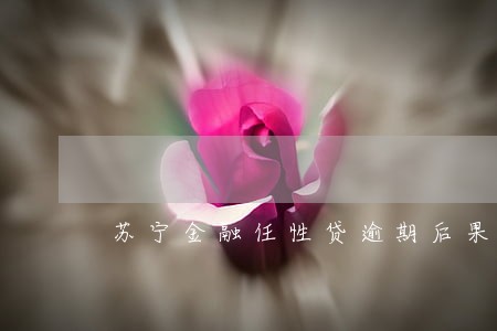 苏宁金融任性贷逾期后果 苏宁金融任性贷逾期后果