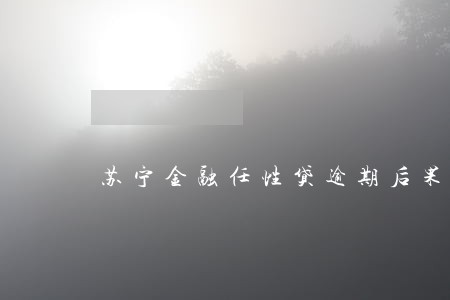 苏宁金融任性贷逾期后果严重吗 苏宁金融任性贷逾期后果严重吗