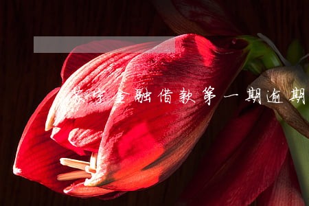 苏宁金融借款第一期逾期 苏宁金融借款第一期逾期