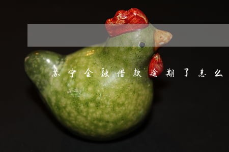 苏宁金融借款逾期了怎么办 苏宁金融借款逾期了怎么办