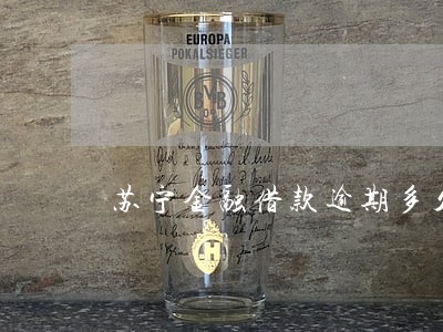 苏宁金融借款逾期多久会上征信 苏宁金融借款逾期多久会上征信
