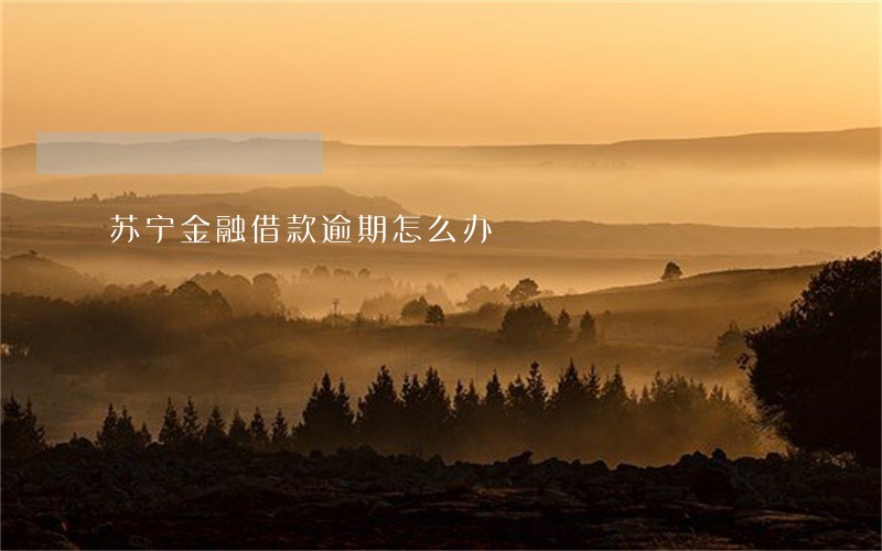 苏宁金融借款逾期怎么办 苏宁金融借款逾期怎么办