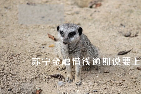 苏宁金融借钱逾期说要上门 苏宁金融借钱逾期说要上门