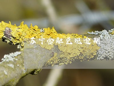 苏宁金融兑现逾期 苏宁金融兑现逾期