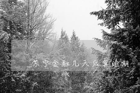 苏宁金融几天后算逾期 苏宁金融几天后算逾期