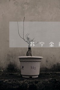 苏宁金融升级贷逾期一天 苏宁金融升级贷逾期一天