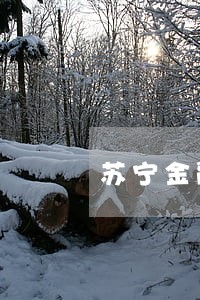 苏宁金融平台违约逾期 苏宁金融平台违约逾期