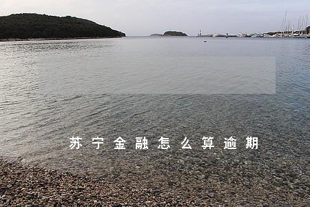 苏宁金融怎么算逾期 苏宁金融怎么算逾期