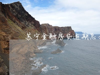 苏宁金融房贷逾期怎么办 苏宁金融房贷逾期怎么办