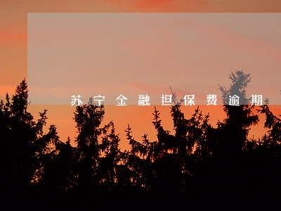 苏宁金融担保费逾期 苏宁金融担保费逾期