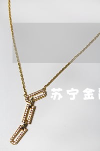 苏宁金融欠三千逾期