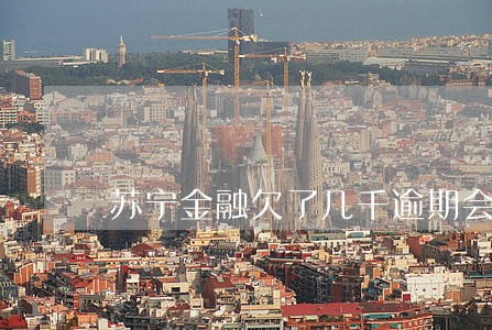 苏宁金融欠了几千逾期会怎么样