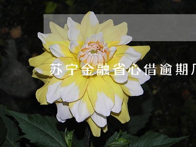 苏宁金融省心借逾期几天会打电话 苏宁金融省心借逾期几天会打电话